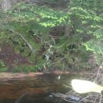 North Gemini Lake State Forest Campground