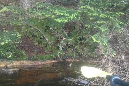 North Gemini Lake State Forest Campground