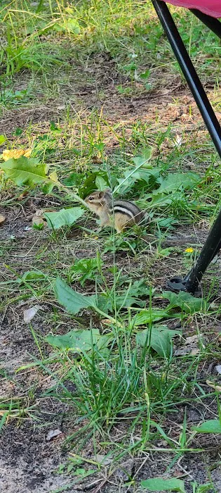 North Gemini Lake State Forest Campground 6