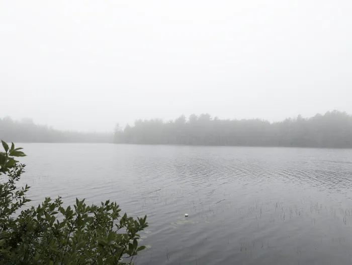 North Gemini Lake State Forest Campground 8