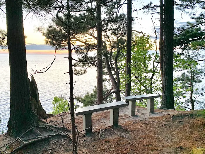 Preservation Point Campsite 2