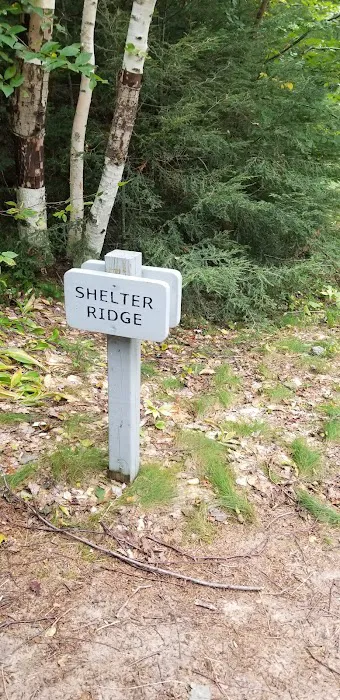 Shelter Ridge Campsite 6