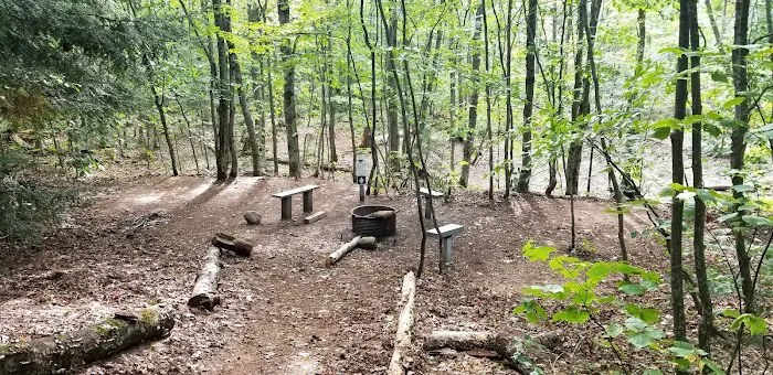Shelter Ridge Campsite 4
