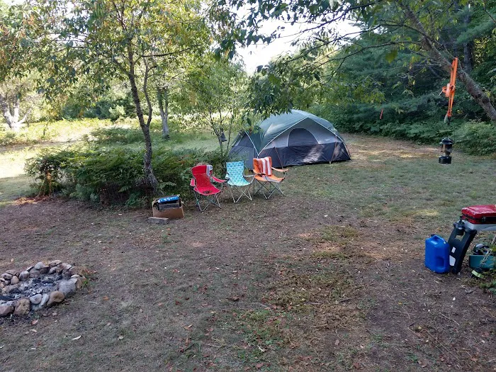 High Swamp Camp 6