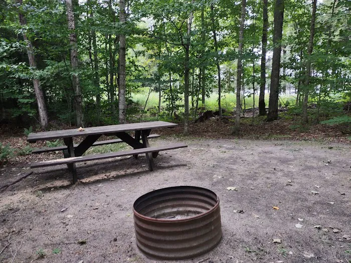 Bass Lake State Forest Campground (Luce) 3