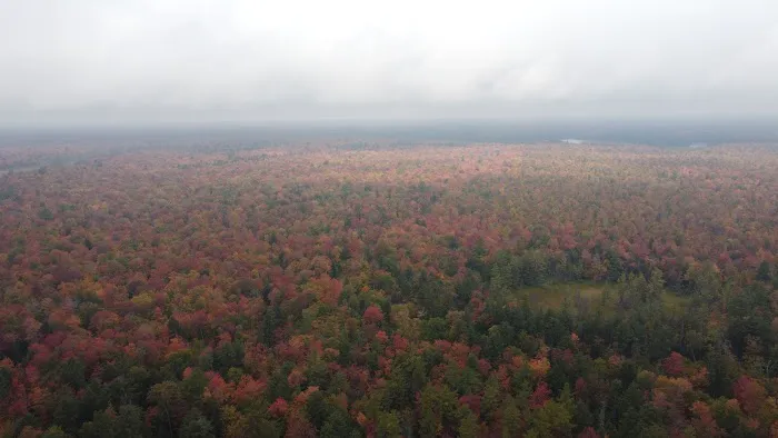 Cusino Lake State Forest Campground 5