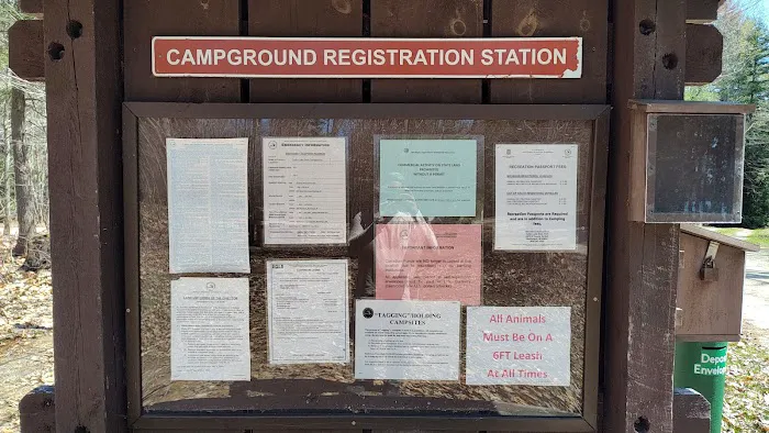 Cusino Lake State Forest Campground 10