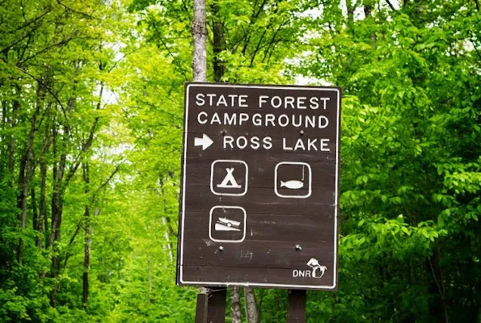 Ross Lake State Campground 3