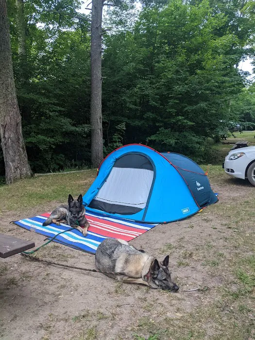 Ross Lake State Campground 10