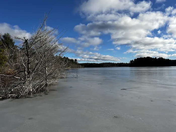 Kingston Lake State Forest Campground 8