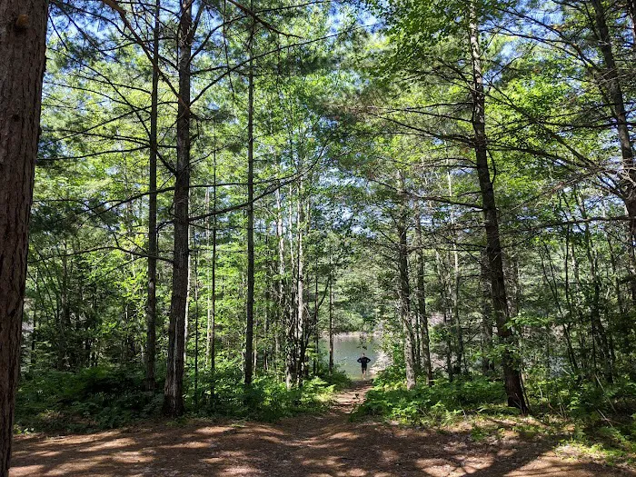 Kingston Lake State Forest Campground 7