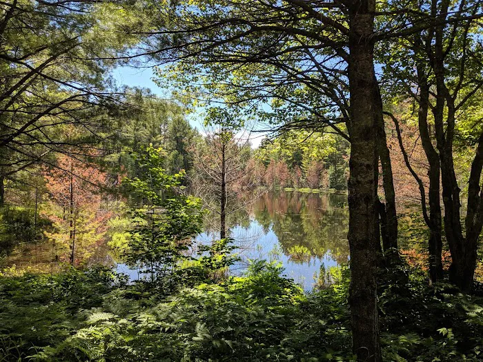 Kingston Lake State Forest Campground 4