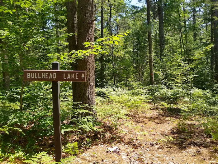 Pretty Lake State Forest Campground 8