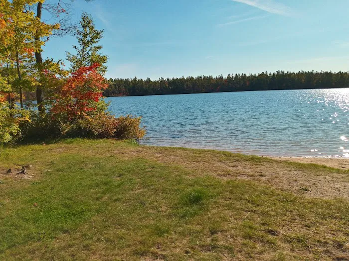 Pretty Lake State Forest Campground 7