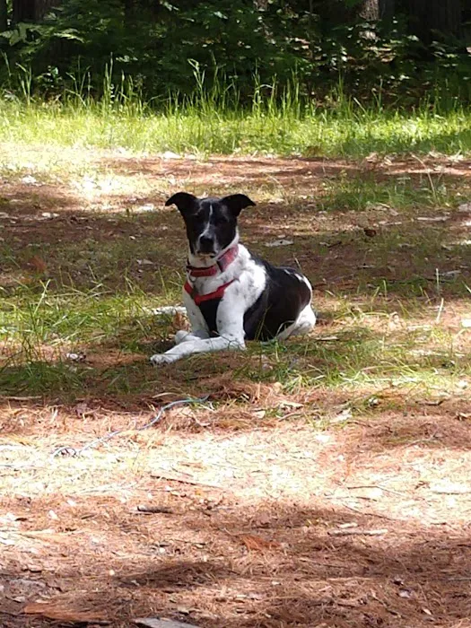 Pretty Lake State Forest Campground 3