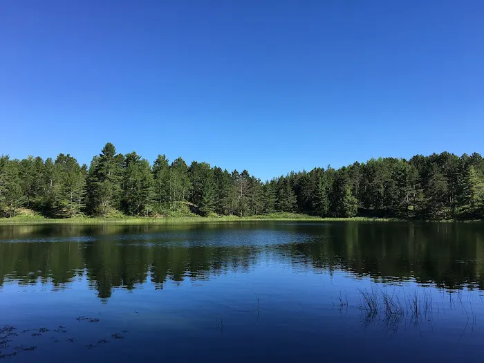Pretty Lake State Forest Campground 5