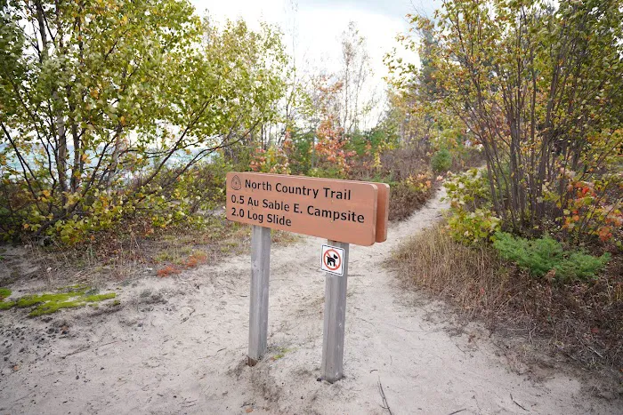 Au Sable East Campground 7