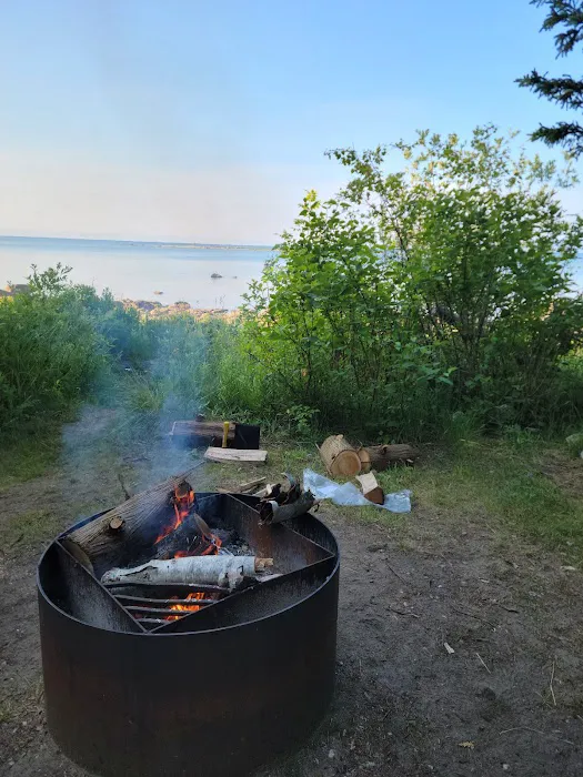 Hog Island State Forest Campground 1