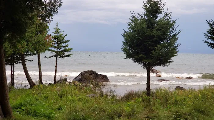 Hog Island State Forest Campground 8