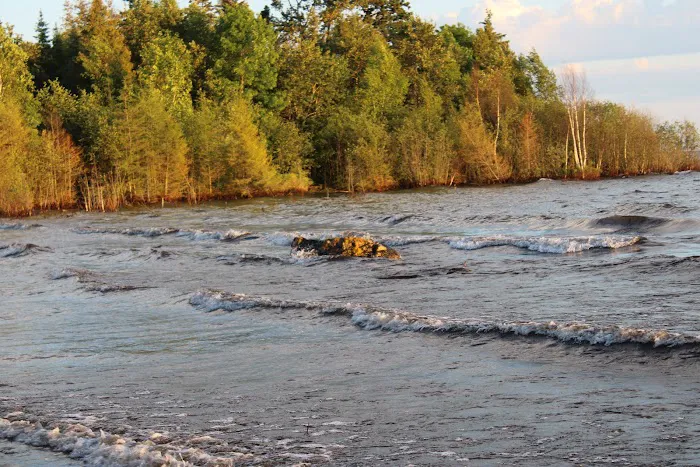 Hog Island State Forest Campground 5