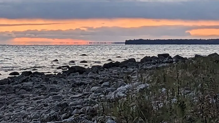 Hog Island State Forest Campground 7