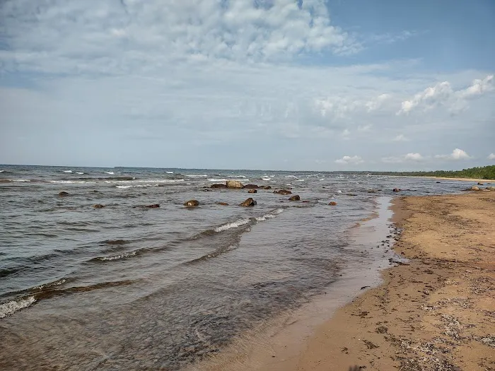 Hog Island State Forest Campground 4