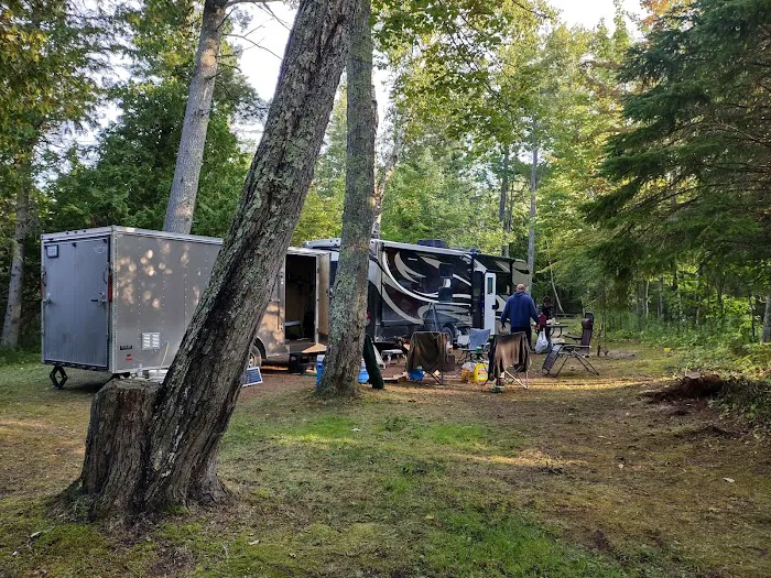 Hog Island State Forest Campground 10