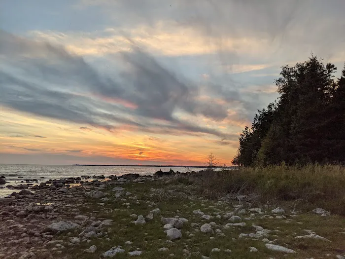 Hog Island State Forest Campground 2