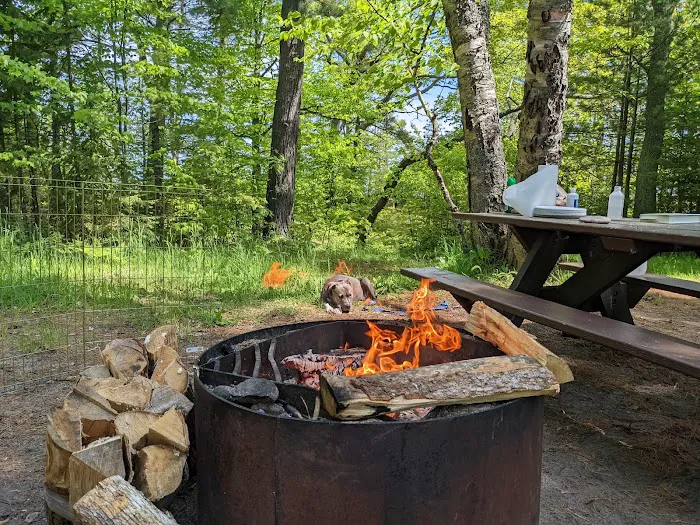 Lake Superior State Forest Campground 7