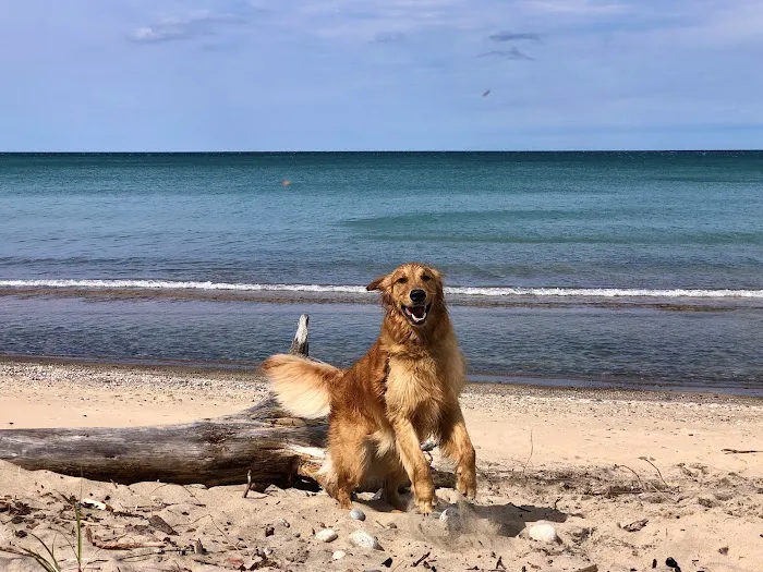 Lake Superior State Forest Campground 4