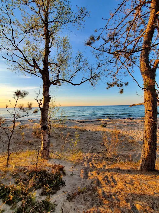 Lake Superior State Forest Campground 2