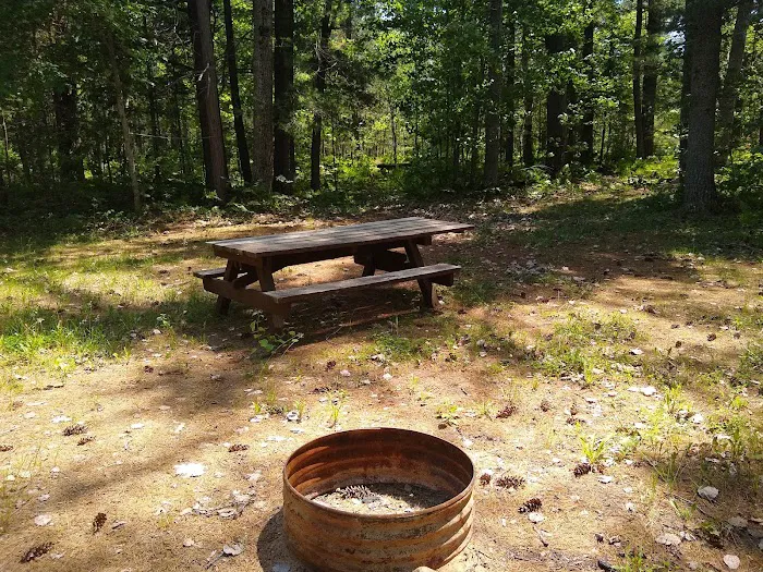Holland Lake State Forest Campground 7