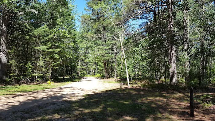 Holland Lake State Forest Campground 10