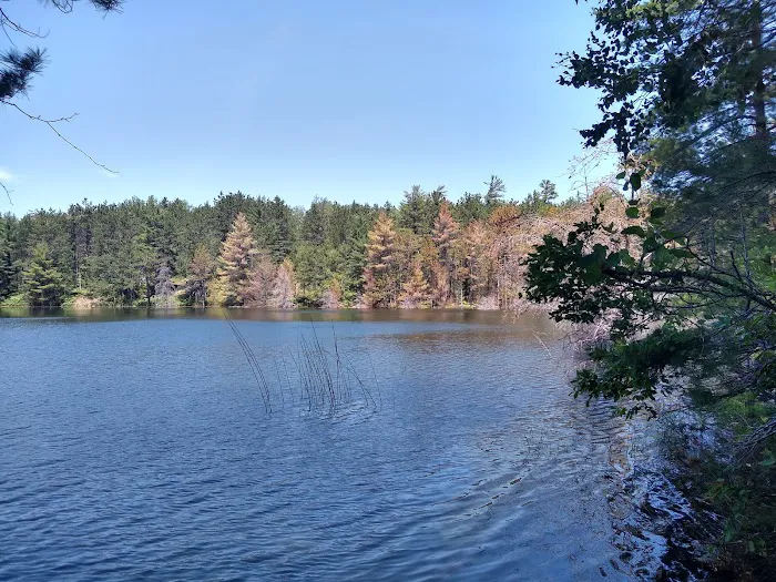 Holland Lake State Forest Campground 9