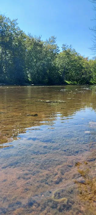 Confluence Camping Boat Launch & Rental ( KALLIOS LANDING) 5