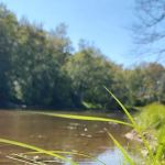 Confluence Camping Boat Launch & Rental ( KALLIOS LANDING)