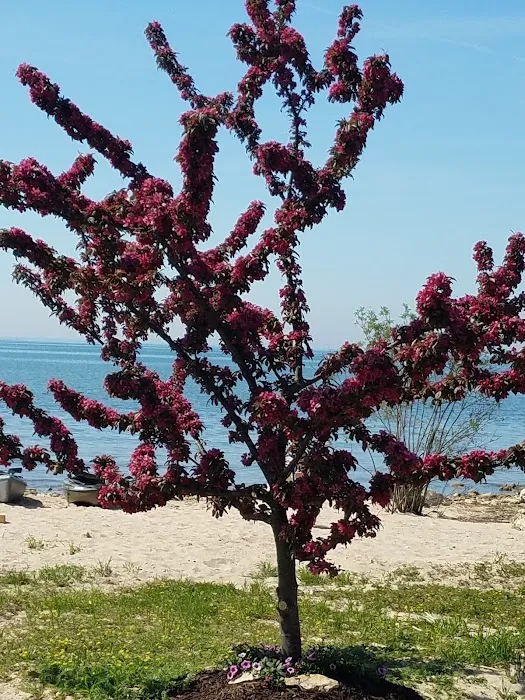 Peppermint Shores Campground 9