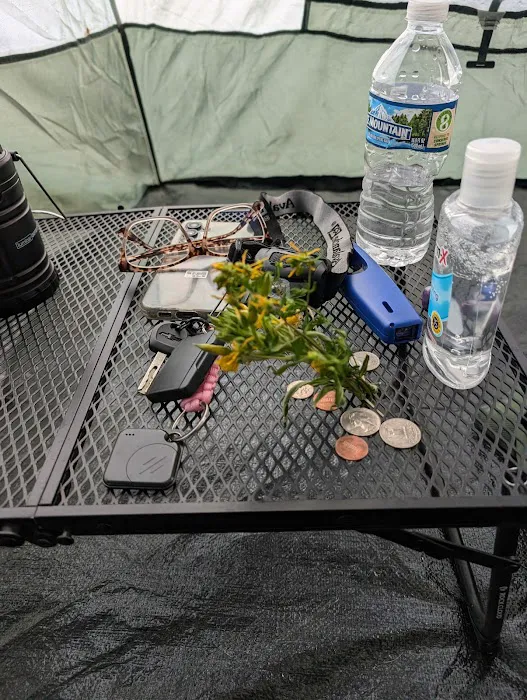 Trout Lake Township Campground 6