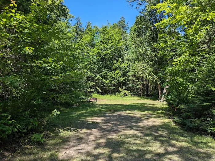 Little Brevort Lake - North State Forest Campground 9