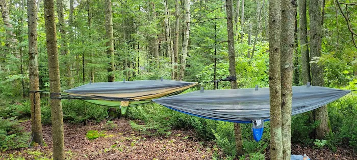 Little Brevort Lake - North State Forest Campground 5