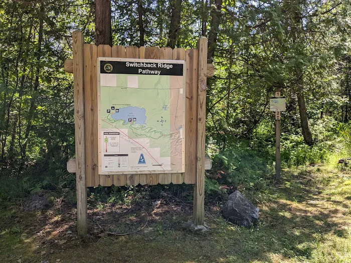 Little Brevort Lake - North State Forest Campground 4