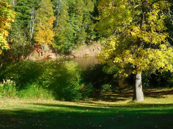 Black River Harbor Campground 6