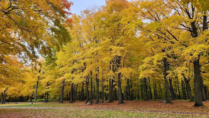 Porcupine Mountains Presque Isle-Rustic 7