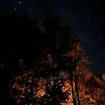 White Pine Extension Outpost