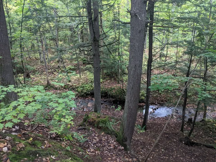 Lost Creek Outpost Campground 5
