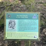 Union River Outpost Campground