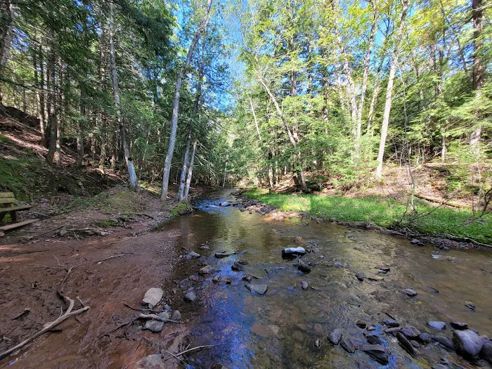 Union River Outpost Campground 2