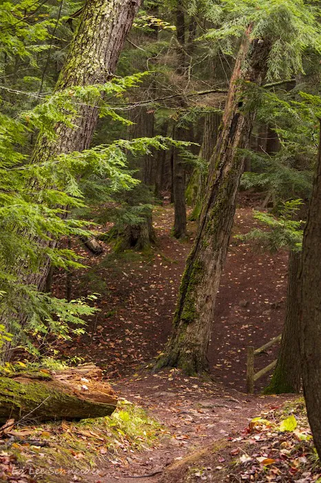 Union River Outpost Campground 6