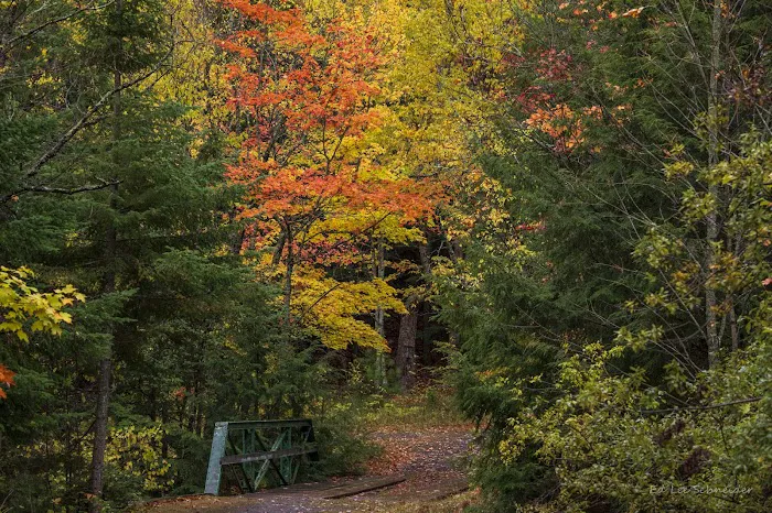 Union River Outpost Campground 10