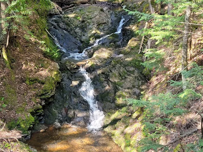 Union River Outpost Campground 7